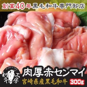 父の日 お中元 センマイ 肉 ホルモン 鍋 宮崎県産 黒毛和牛 赤センマイ ギアラ 100g×3パック 計300g もつ煮 どて煮 送料無料【赤セン300】｜rerl