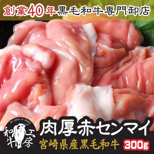 父の日 お中元 センマイ 肉 ホルモン 鍋 宮崎県産 黒毛和牛 赤センマイ ギアラ 100g×3パッ...