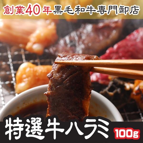 父の日 お中元 ハラミ 肉 ホルモン 特選 牛ハラミ トップチョイスランク 100g お試し【ハラミ...