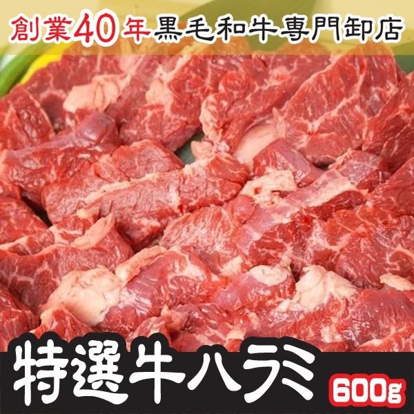 30％OFF【 超PayPay祭 SALE 5050円→3535円！】ハラミ 肉 BBQ  特選牛ハ...