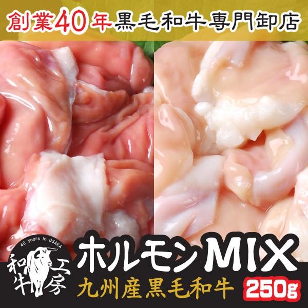 ホルモン もつ 肉 鍋 九州産黒毛 和牛ホルモン MIX 250g 小腸 赤センマイ 味付けなし【な...