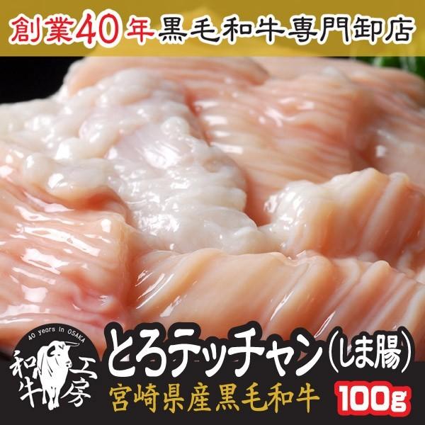 お試し テッチャン しま腸 肉 BBQ 鍋 A5 宮崎県産 黒毛和牛 しま腸 100ｇ ホルモン も...