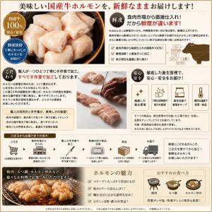 お試し ホルモン もつ BBQ 焼肉 焼き肉 ...の詳細画像5
