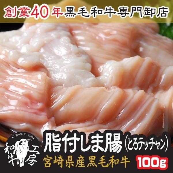 お試し テッチャン しま腸 肉 BBQ 鍋 A5 宮崎県産 黒毛和牛  脂付 しま腸 100ｇ もつ...