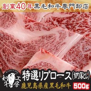 鹿児島県産 黒毛和牛 特選 リブロース 切り落とし 500ｇ