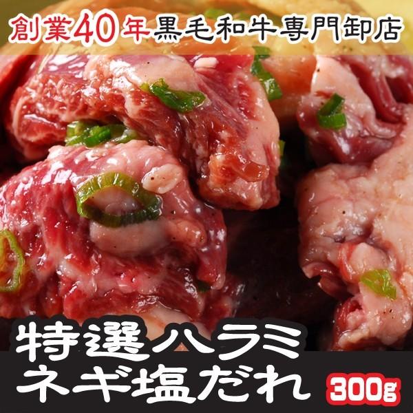 ハラミ 肉 BBQ  米国産 特選ハラミ・サガリ ネギ塩だれ味付き 100g×3パック 計300g ...