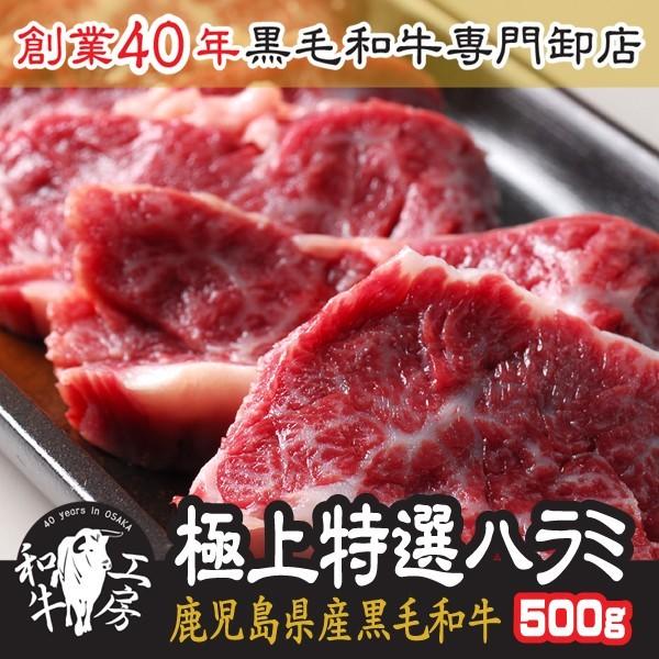 ハラミ 肉 BBQ 鹿児島県産 A5 ランク 黒毛和牛 極上特選 ハラミ 500g 秘伝塩こしょう付...