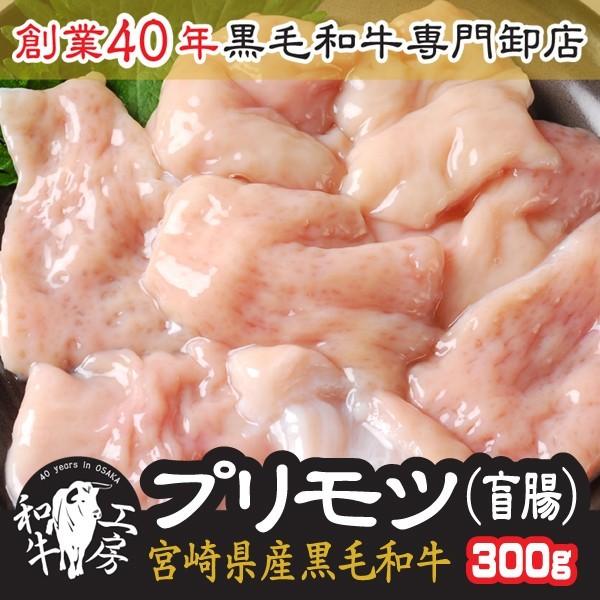 盲腸 肉 ホルモン 鍋 宮崎県産 黒毛和牛 プリモツ 盲腸 100g×3パック 計300g 送料無料...