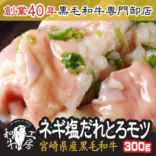 ホルモン 肉 BBQ 宮崎県産 黒毛和牛 小腸 ネギ塩だれ味付き 100g×3パック 計300g 味...