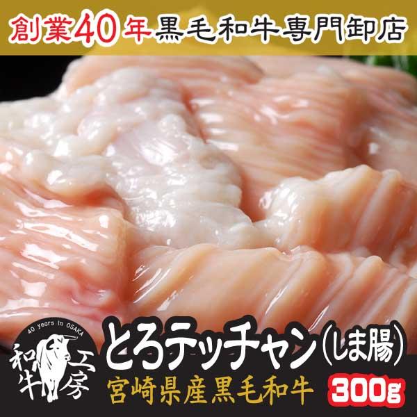 50％OFF【 シルバーウイーク 2770円→1385円！】しま腸 テッチャン ホルモン 肉 BBQ...
