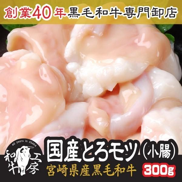 【 5/3-5/6限定　30％OFF！ 】宮崎県産 黒毛和牛 大とろ 小腸 100g×3パック　計3...