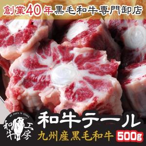 テール 肉 ホルモン 鍋 牛ホルモン卸店の九州産 黒毛和牛テール