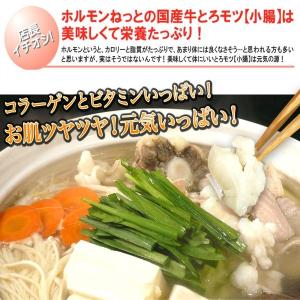 ホルモン もつ BBQ 焼肉 鍋 宮崎県産 黒...の詳細画像1