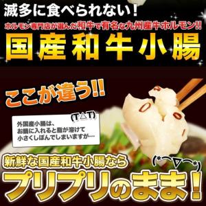 ホルモン もつ BBQ 焼肉 鍋 宮崎県産 黒...の詳細画像2