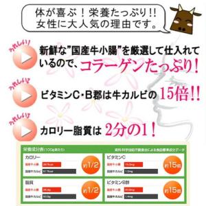 ホルモン もつ BBQ 焼肉 鍋 宮崎県産 黒...の詳細画像5