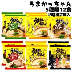 うまかっちゃん 九州限定 濃厚新味 ラーメン 高菜 黒豚 ニンニク 5種類 12食 食べ比べ お取り寄せグルメ