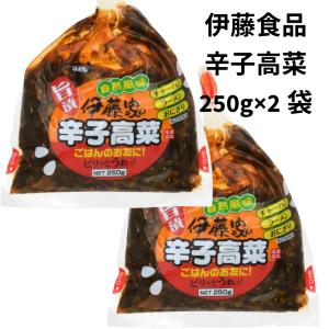 高菜漬け 高菜漬物 辛子たかな 九州特産 漬物 250g 2袋 しょうゆ漬 高菜 九州 御飯の友 おつけもの 仕送り食品｜RCL