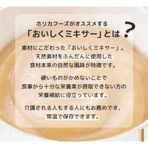 おいしくミキサー だし巻卵 介護食 個人 法人...の詳細画像3