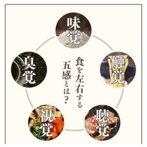 おいしくミキサー だし巻卵 介護食 個人 法人...の詳細画像5
