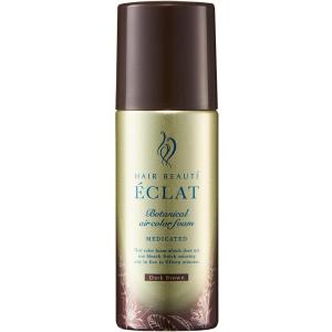 ヘアボーテエクラ ボタニカル エアカラーフォーム EX ダークブラウン 80g