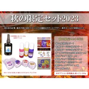 秋の限定セット2023☆お買い得な限定セット☆