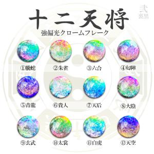 12天将 ミラークローム☆ 強偏光クロームフレーク☆