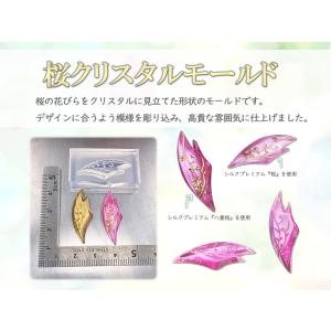 新品 イーカプコン限定 ロックマンエグゼ 15周年 熱斗＆ロックマン