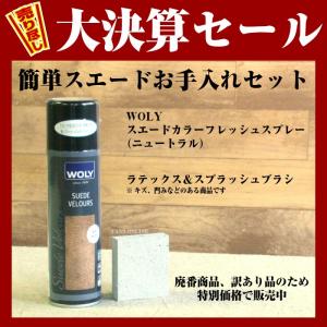 簡単スエードケアセット　スエードカラーフレッシュスプレー　起毛皮革栄養防水スプレー　特別価格　ラテックス＆スプラッシュブラシ付き
