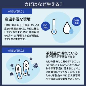【7/13 01:59まで送料無料&ポイント1...の詳細画像5