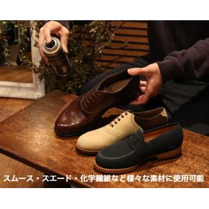 防水スプレー エイジング&プロテクト 220m...の詳細画像4