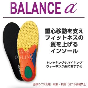 【3/22 23:59までポイント3倍】中敷き ...の商品画像