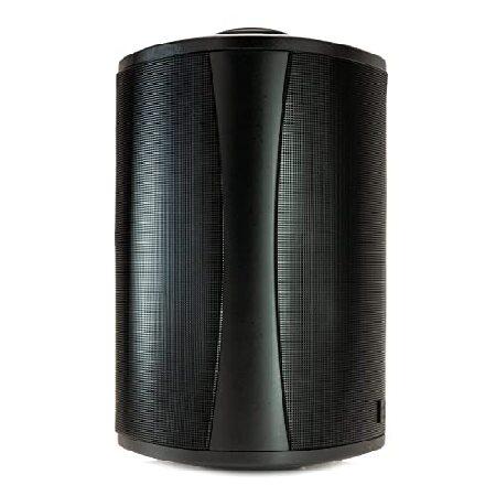 Definitive Technology AW 5500 Outdoor Speaker (Sin...
