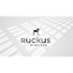 Ruckus Wireless 901-7372-WW00 ZoneFlex 7372 Indoor AP Dual-B Canada Only 2 x 22 2 Port｜rest