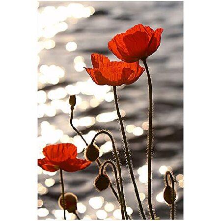 Eorntdy キャンバスウォールアート 川辺の赤いポピー キャンバスプリント アートワーク 赤い花...
