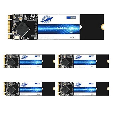 Dogfish M.2 SSD 64GB SATA III 6Gb/秒 M.2 (2280mm) 内...