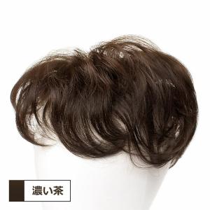 濃い茶 ふんわり大きめ 部分ウィッグ 部分かつら ポイントウィッグ 人毛のように自然 女性用 ミセス レディース トップピース ヘアピース  p3s813-04a1