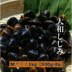 しじみ 冷凍しじみ シジミ Mサイズ 1kg 500g×2パック 島根県 宍道湖産 国産 砂抜き処理済 お取り寄せ 産地直送しじみ出汁すまし汁 送料無料