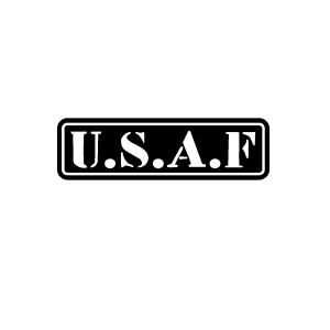 USエアフォース　ロゴ　文字 　カッティングステッカー　小サイズ