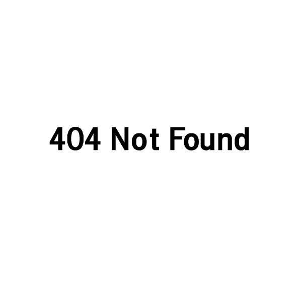 404 Not Found　エラーメッセージ　ロゴ　カッティングステッカー　選べる4サイズ