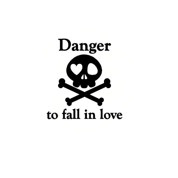 ドクロ　Danger to fall in love　危険　恋に落ちる　ロゴ　文字　カッティングステ...
