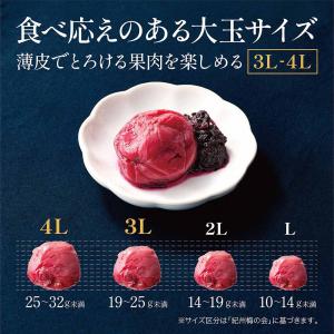 梅干し 紀州南高梅 しそ漬け 着色料 無添加 ...の詳細画像5