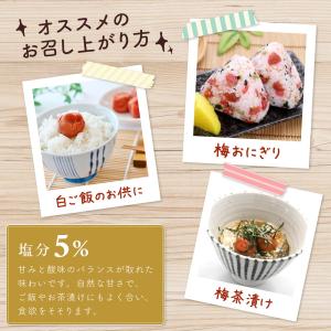 味楽堂 梅干し はちみつ梅 1kg 訳あり 紀...の詳細画像5