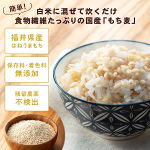 味楽堂 もち麦 5kg 国産 もちむぎ 福井県...の詳細画像1