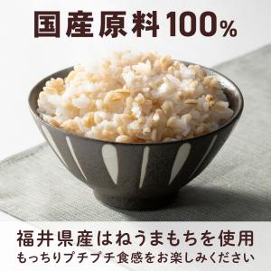 味楽堂 もち麦 5kg 国産 もちむぎ 福井県...の詳細画像3