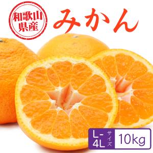 みかん 和歌山県産 10kg 秀・優・並ランク L~4Lサイズ