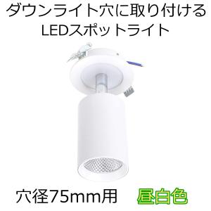 LEDZ 遠藤照明(ENDO) LEDZ LAMP series アウトドアブラケット 防湿防雨