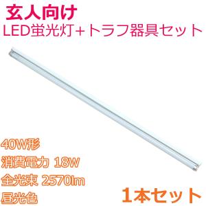 要配線工事 高効率LED蛍光灯 + 薄型器具セット 40W形 直管LED蛍光灯ガラス管 昼光色 消費電力18W 全光束2570lm + LED蛍光灯専用薄型トラフ器具 1セット｜reudo