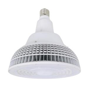 岩崎電気 LDR50N-H-E39/W750 LEDioc レディオック LEDアイランプ