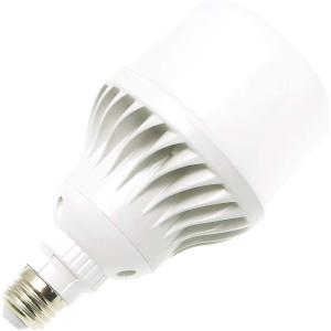 Panasonic（パナソニック） LDA13L-G/Z100E/S/WA/1K LED電球 プレミア