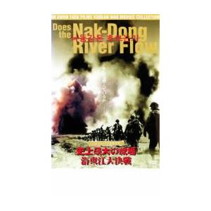 史上最大の戦場 洛東江大決戦 レンタル落ち 中古 DVD  韓国ドラマ